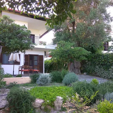 Neria Summer * Χανιώτη