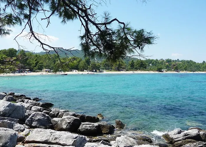 Neria Summer *