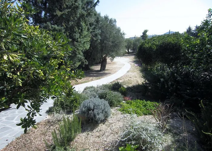 Neria Summer Chaniotis