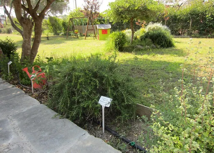 Apartment Neria Summer