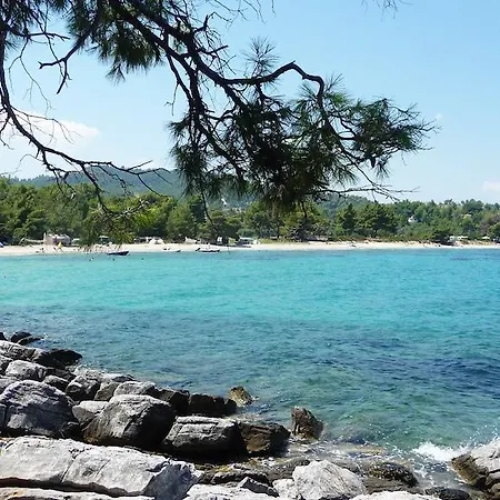 Neria Summer *
