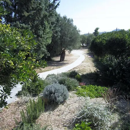 Neria Summer Chaniotis