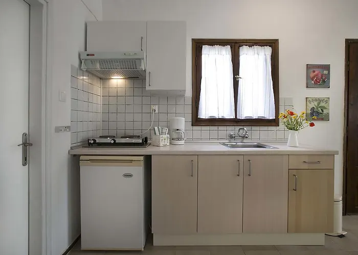 Neria Summer Διαμέρισμα Χανιώτη