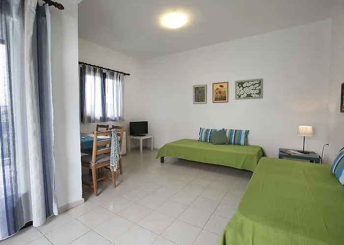 Διαμέρισμα Neria Summer Χανιώτη