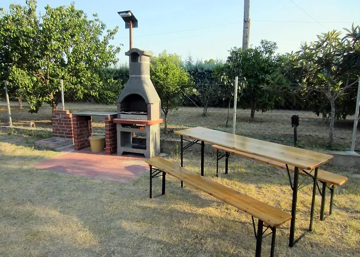 Neria Summer Chaniotis